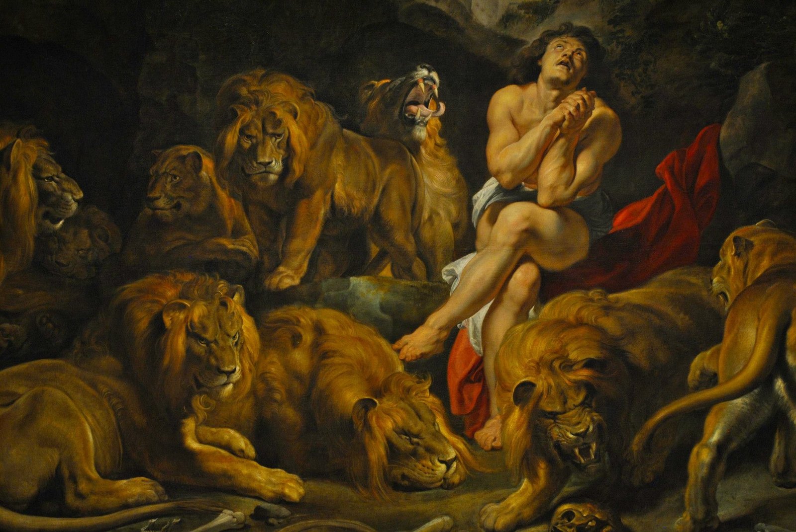 Fantaboy Peter Paul Rubens Lions Den Canvas print (24 x 36 )